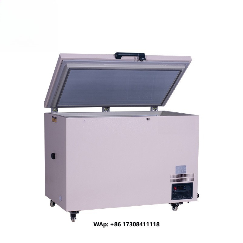 268L -60 ℃   Congelador Horizo - Commercial Chest Freezer reseña y precio